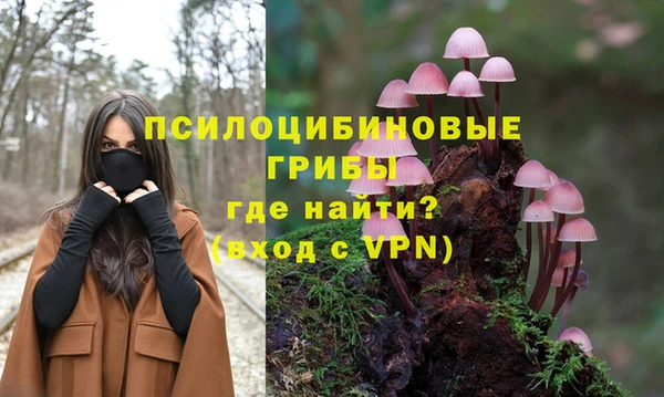 гидра Белокуриха