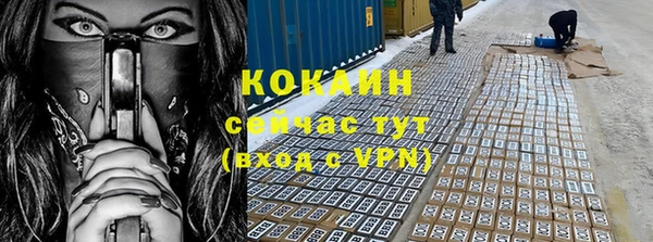 МДПВ Богородск