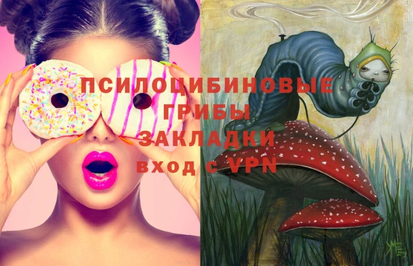 гидра Белокуриха