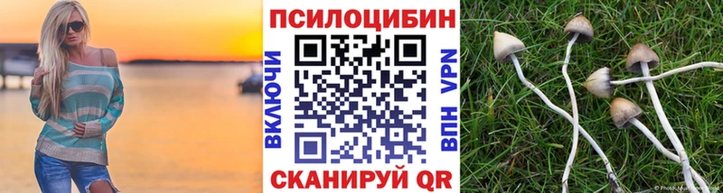 Псилоцибиновые грибы Cubensis  купить наркоту  Кимовск 